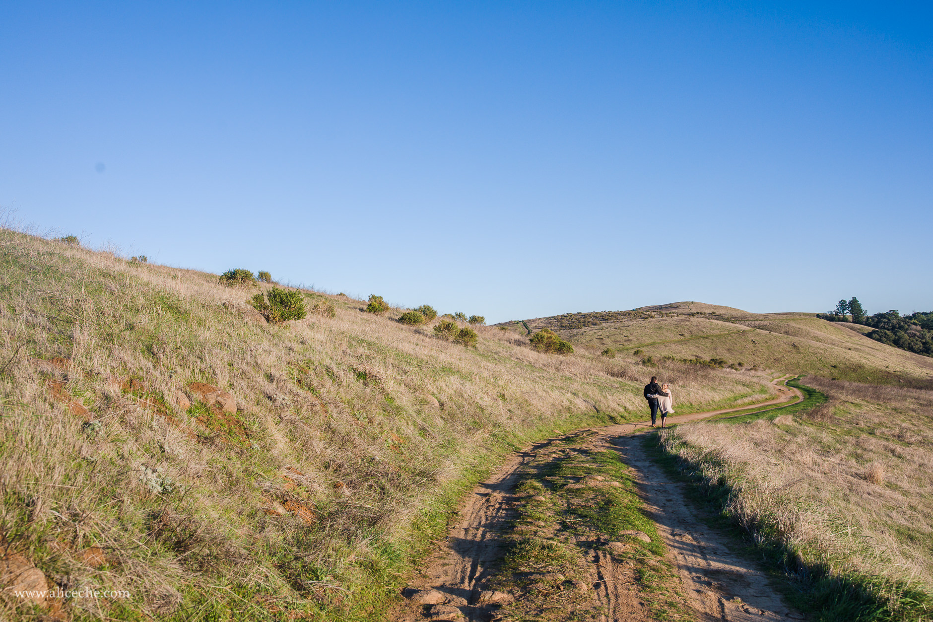 California Hillside Engagement Russian Ridge