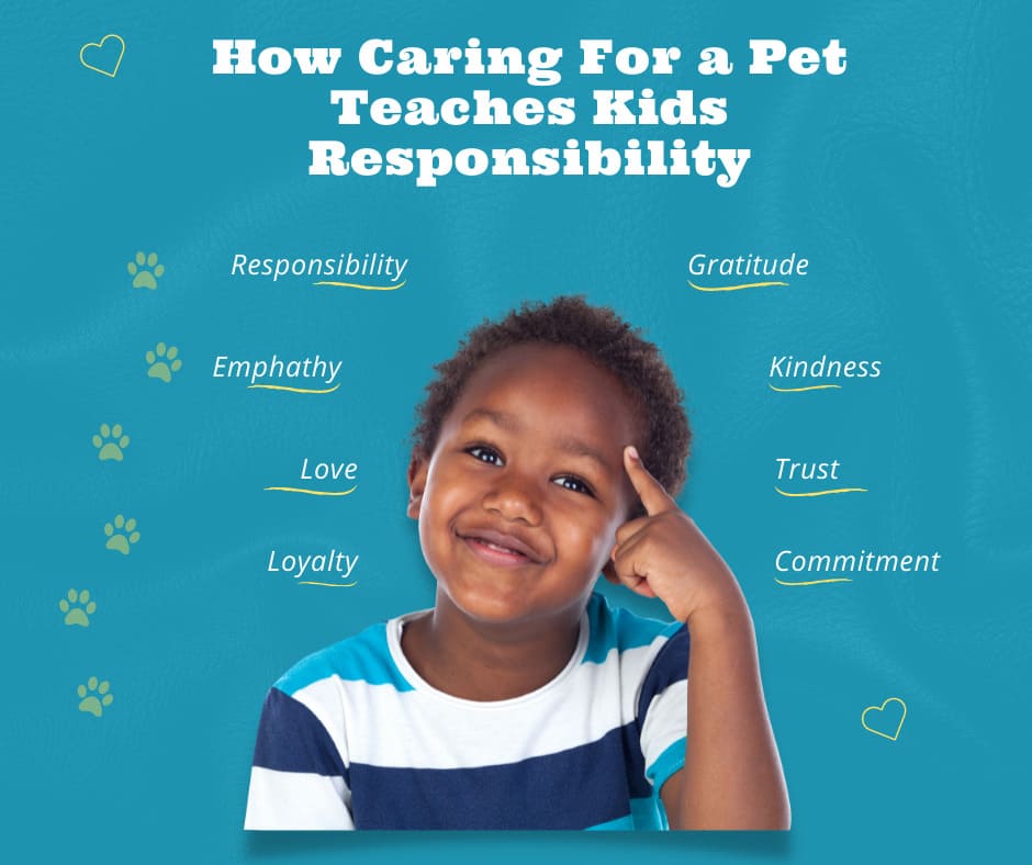How Does Owning A Dog Teach Responsibility