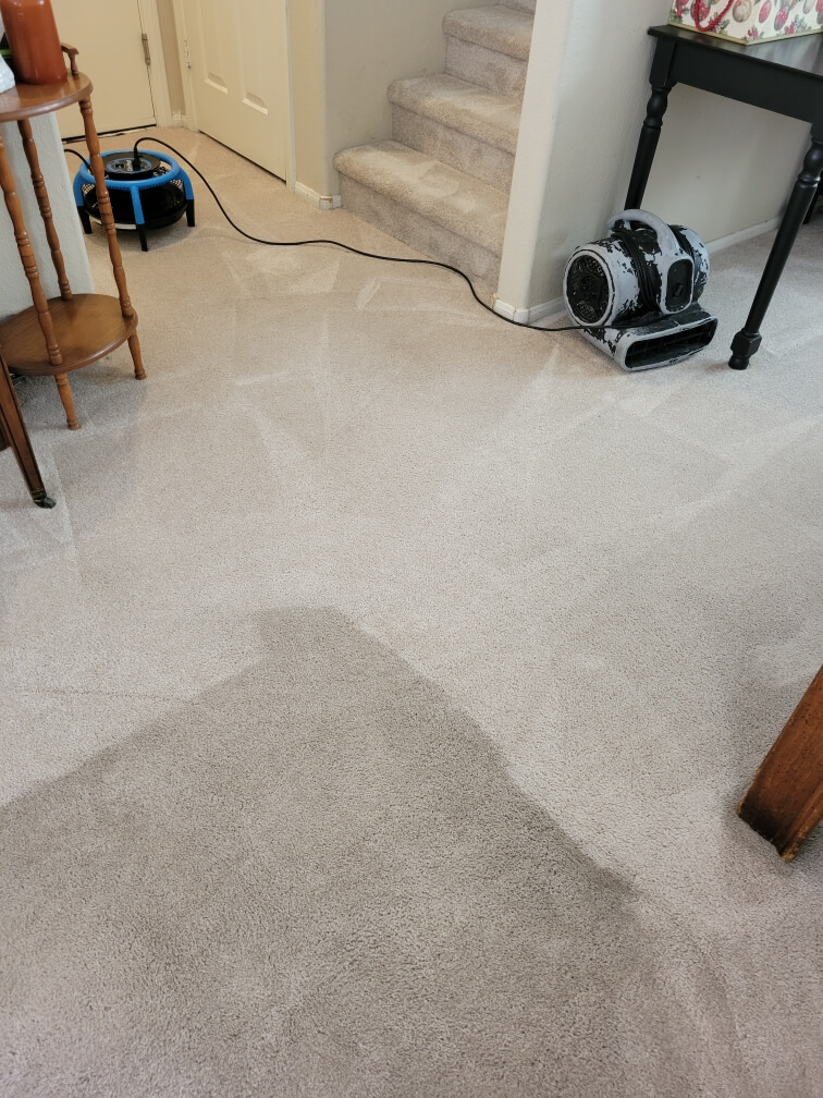 Carpet Cleaning Las Vegas NV Alien Steamers