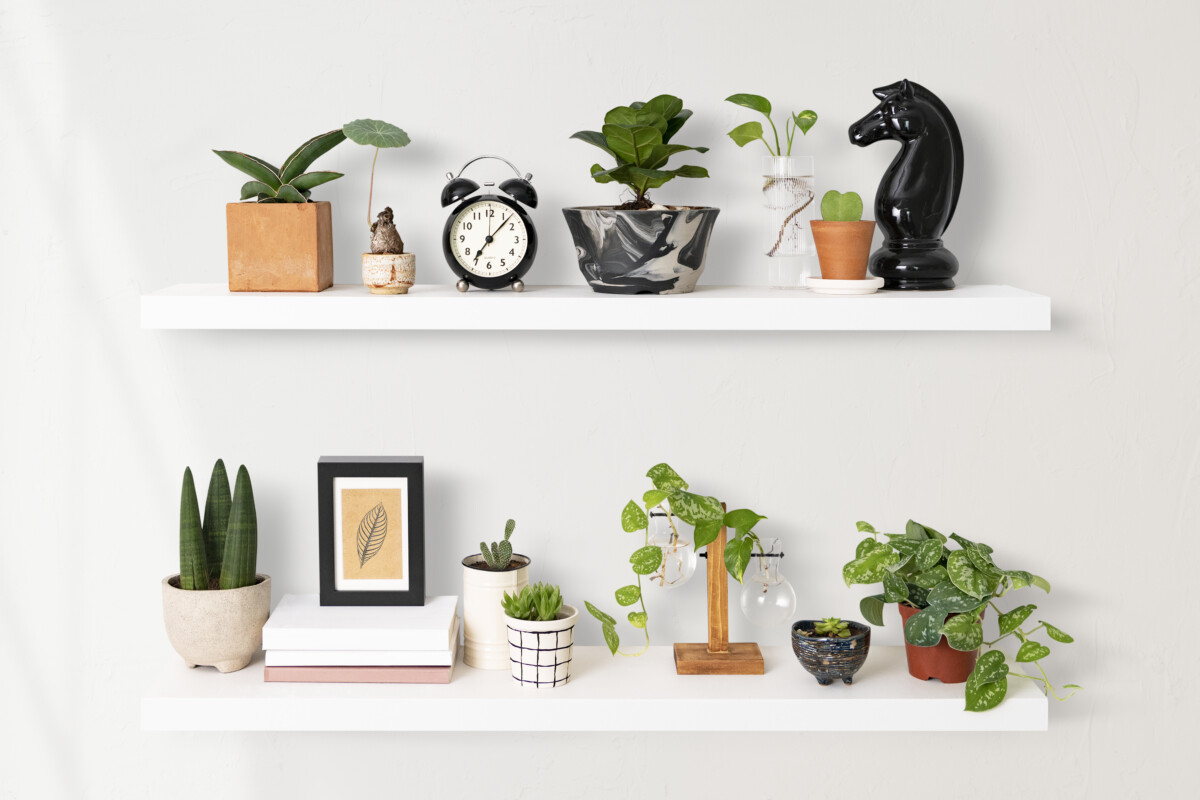Explore the Top Home Decor Stores on Aliexpress A Comprehensive Guide