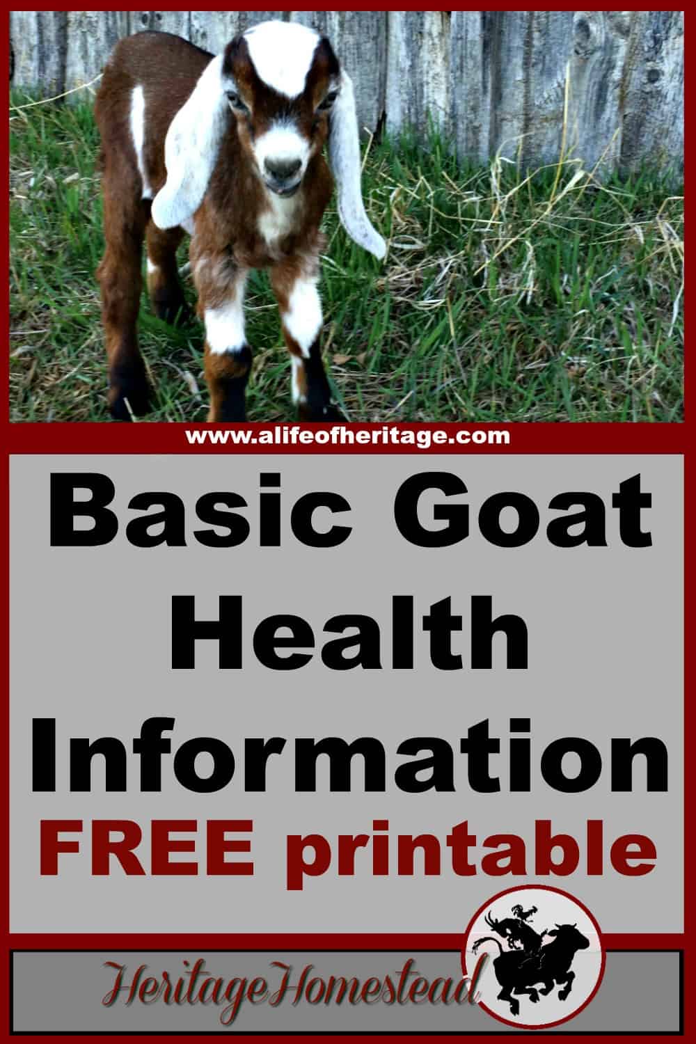 Basic Goat Health Information A Life Of Heritage