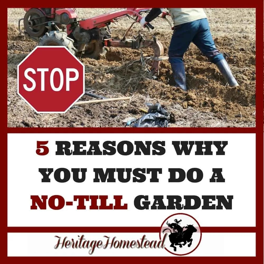Gardening Tips YOU can have a great garden!(04)
