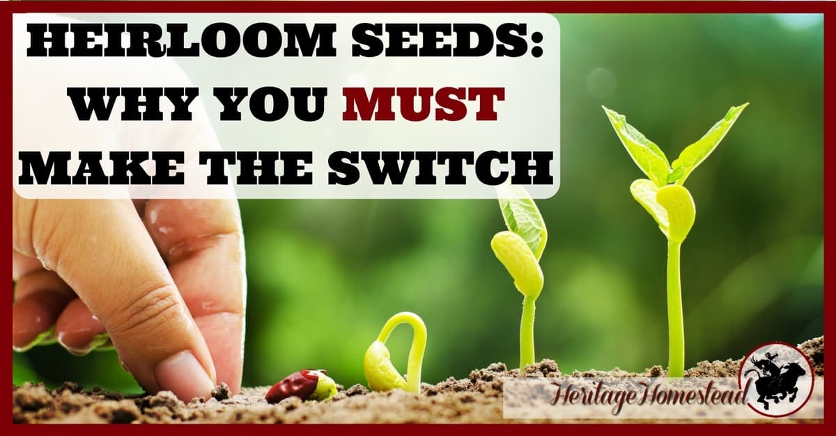 Heirloom Seeds Why You MUST Make the Switch