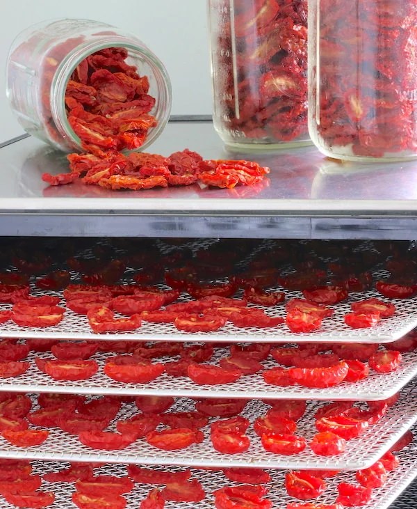Dehydrating Grape and Cherry Tomatoes A Life Well Planted