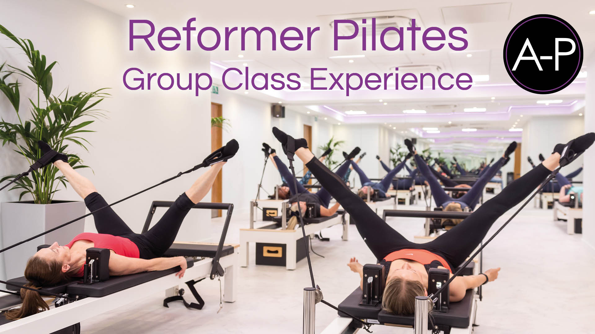 Reformer Pilates Group Class Experience AlignPilates