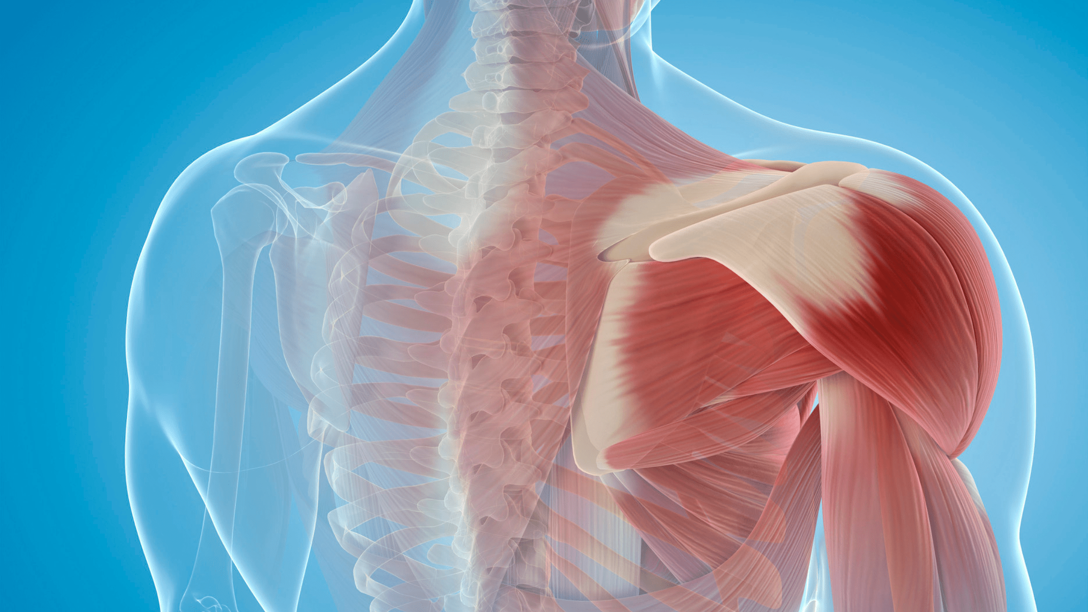 SLAP Repair Restoring Stability and Functionality Aligned Orthopedic