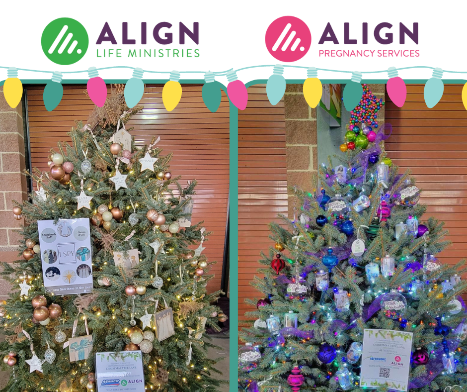 Align at Barnstormers NonProfit Christmas Tree Lane Align Life