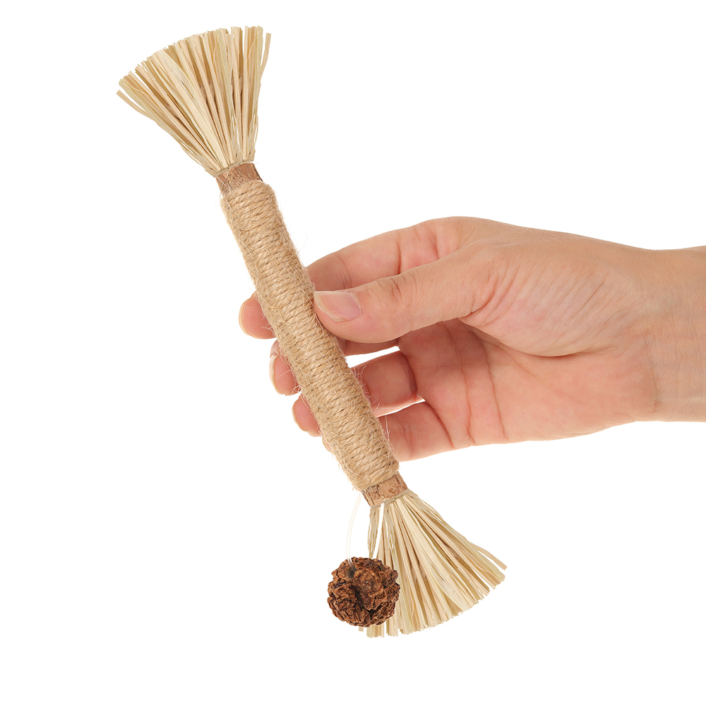 Natural Silvervine Stick Cat Chew Toy Dropshipping Winning Products