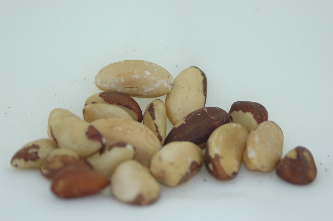 Castanha do Pará natural 500g Alimentos da terra