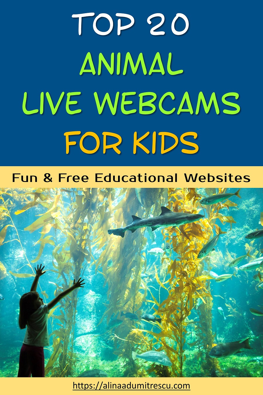 20 Best Animal Live Cams and Videos for Kids Raising Successful Kids