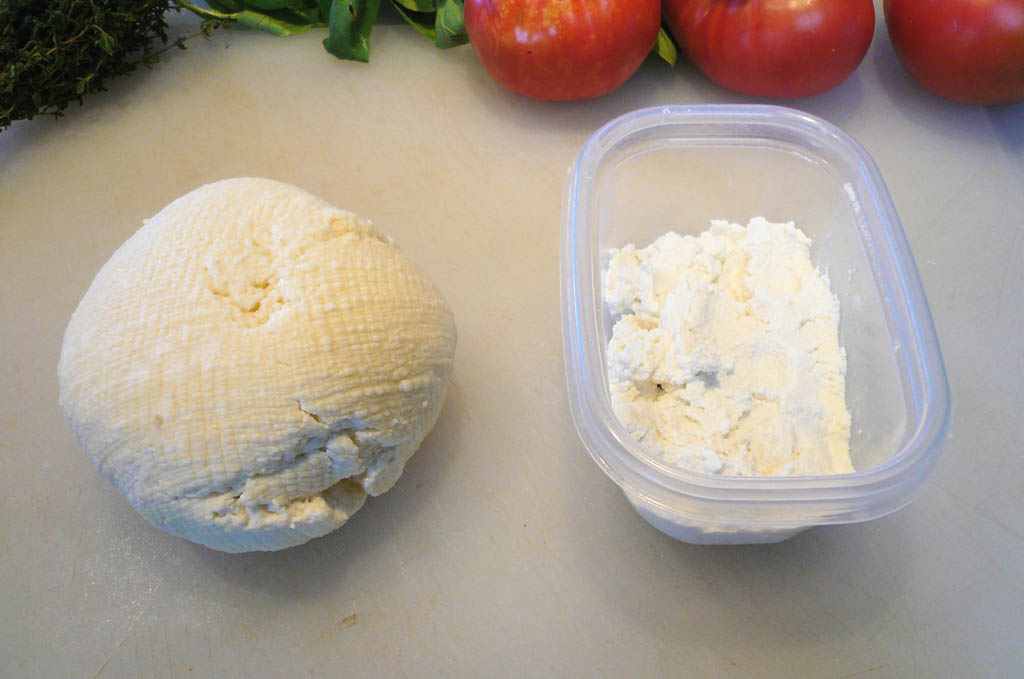 Mozzarella Curd Alineaphile