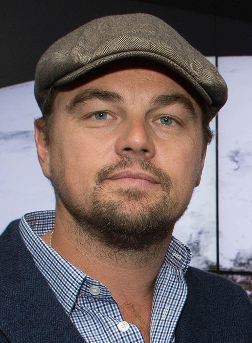 Leonardo DiCaprio pressured over 1MDB ties Actor's UN