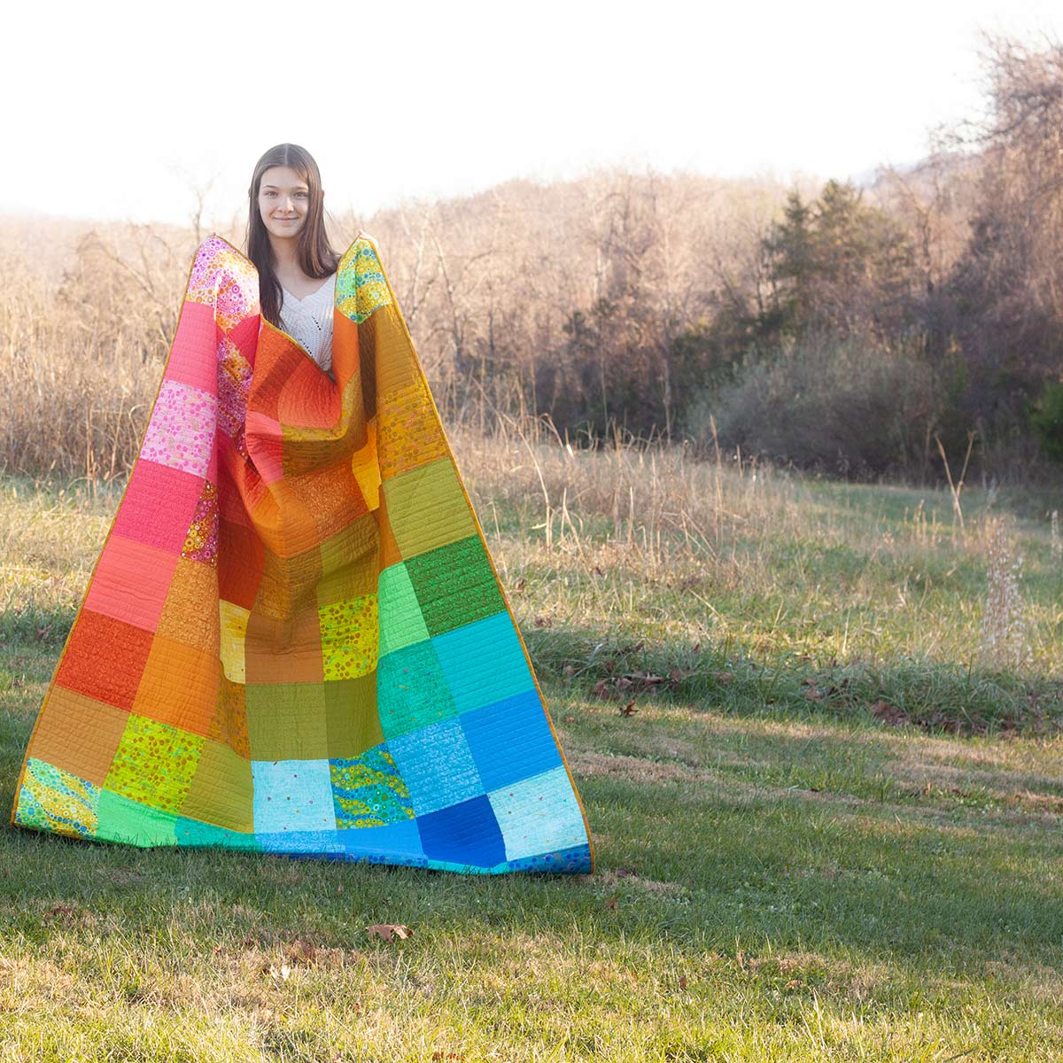 Patchwork in Thicket + Century Solids Quilt Kit Alison Glass