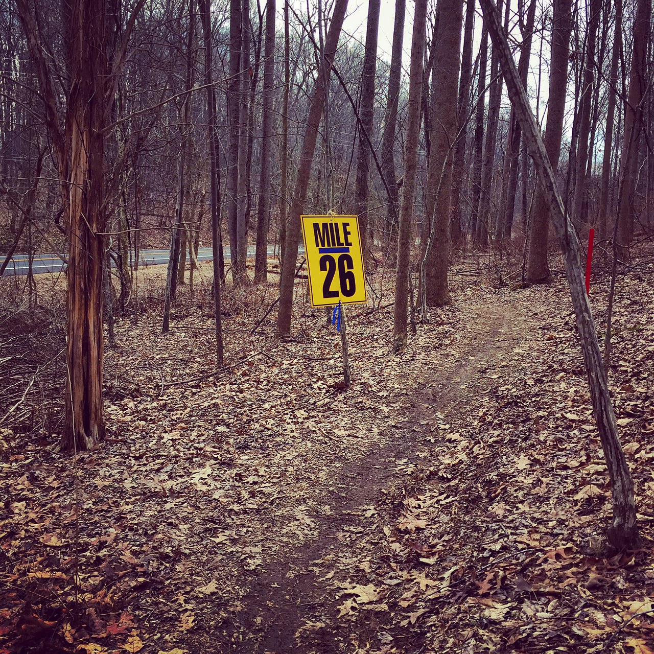 RACE REPORT Seneca Creek Greenway Trail 50K Alison Heilig