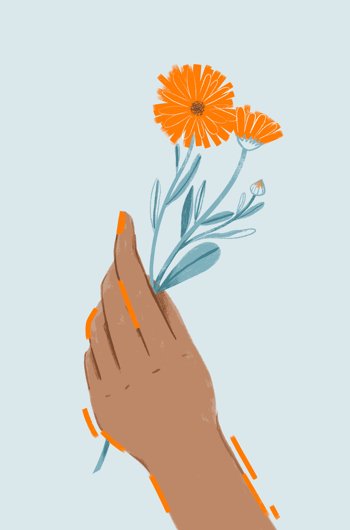 Alissa Thaler Illustration & animation