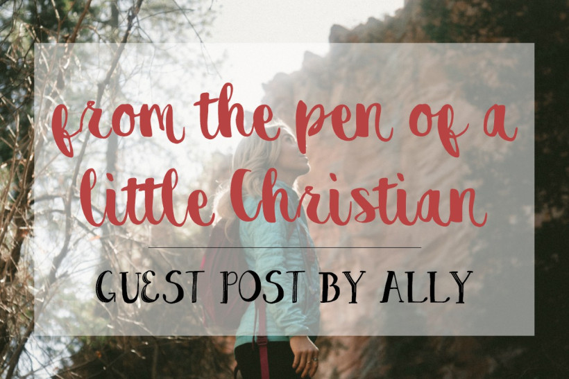 guest post a little bit of allyson