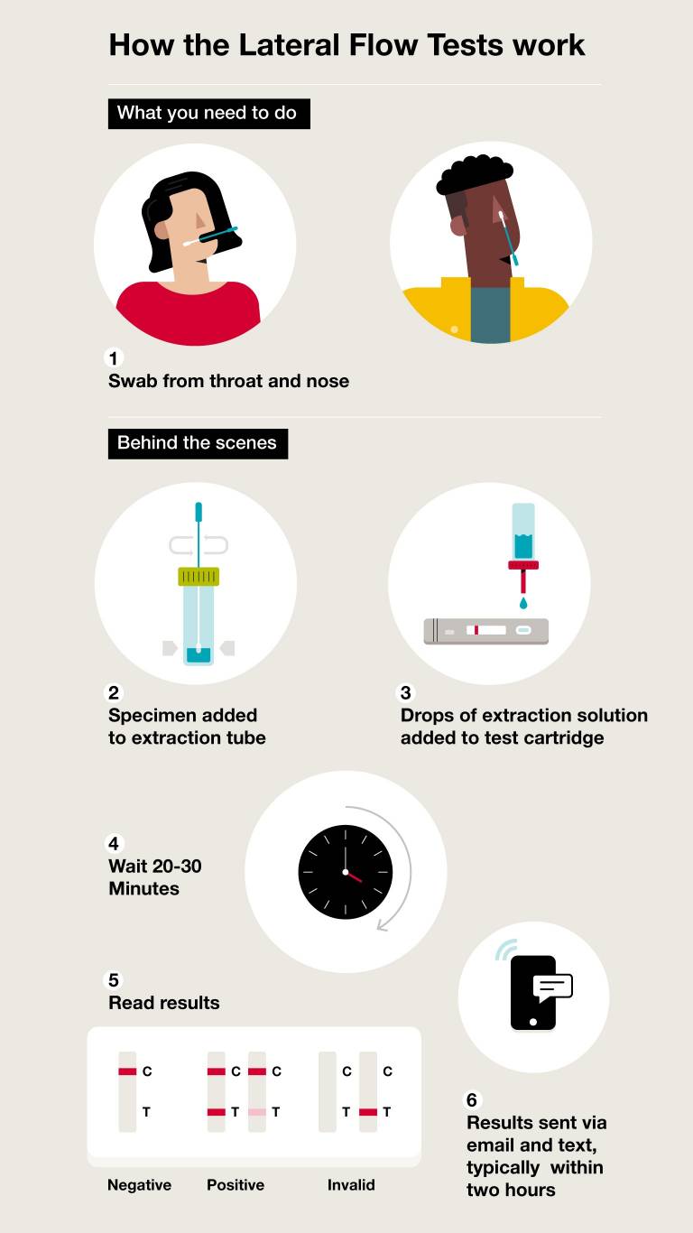 Covid19 test assistants wanted > A Little Bit of Stone