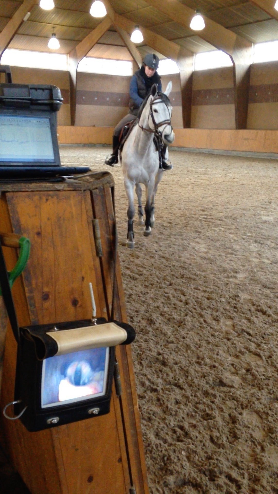 Equine Sports Medicine Performance Evaluation and Medical Monitoring