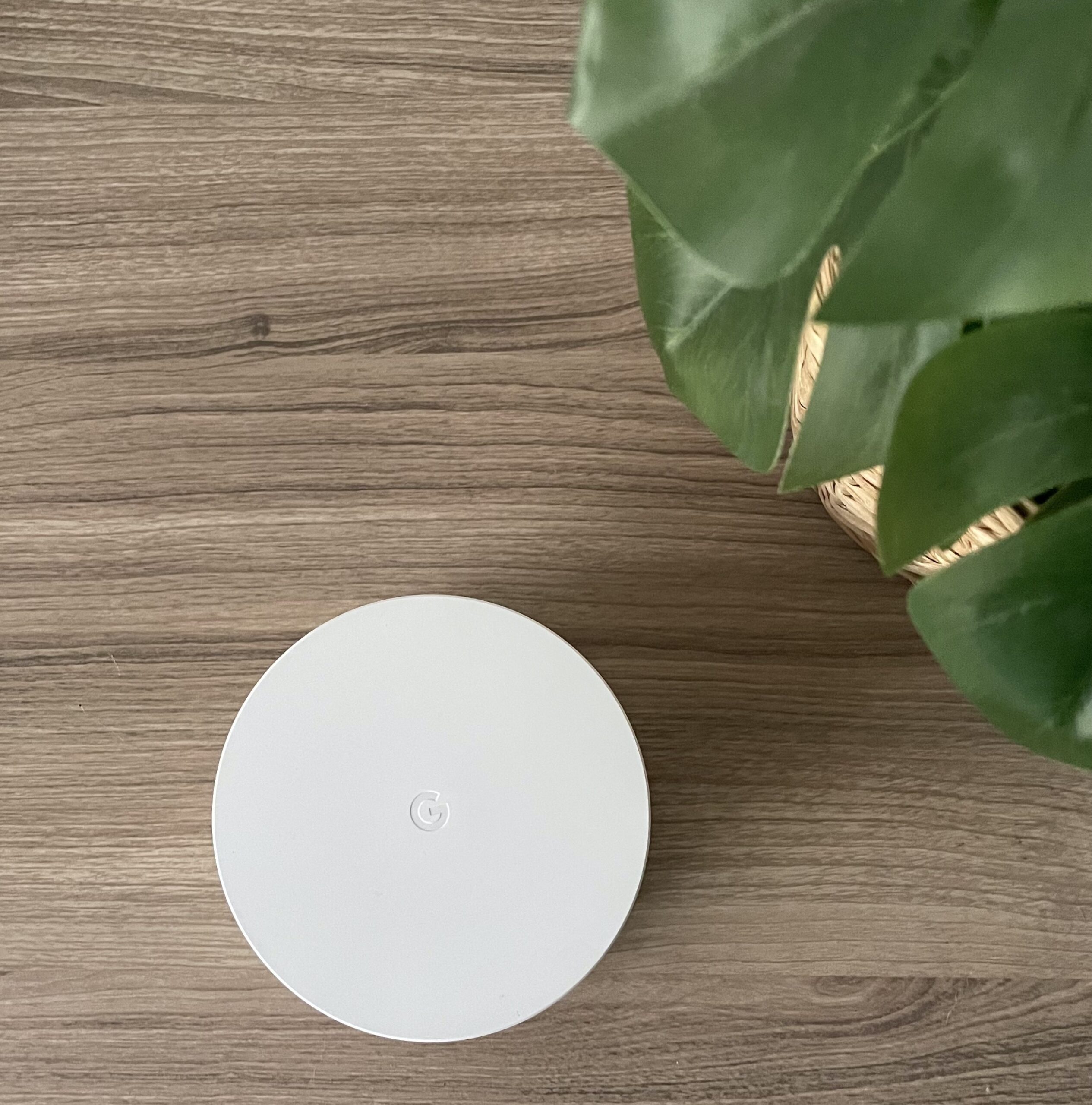 Google WiFi Mesh the 2024 Full Review