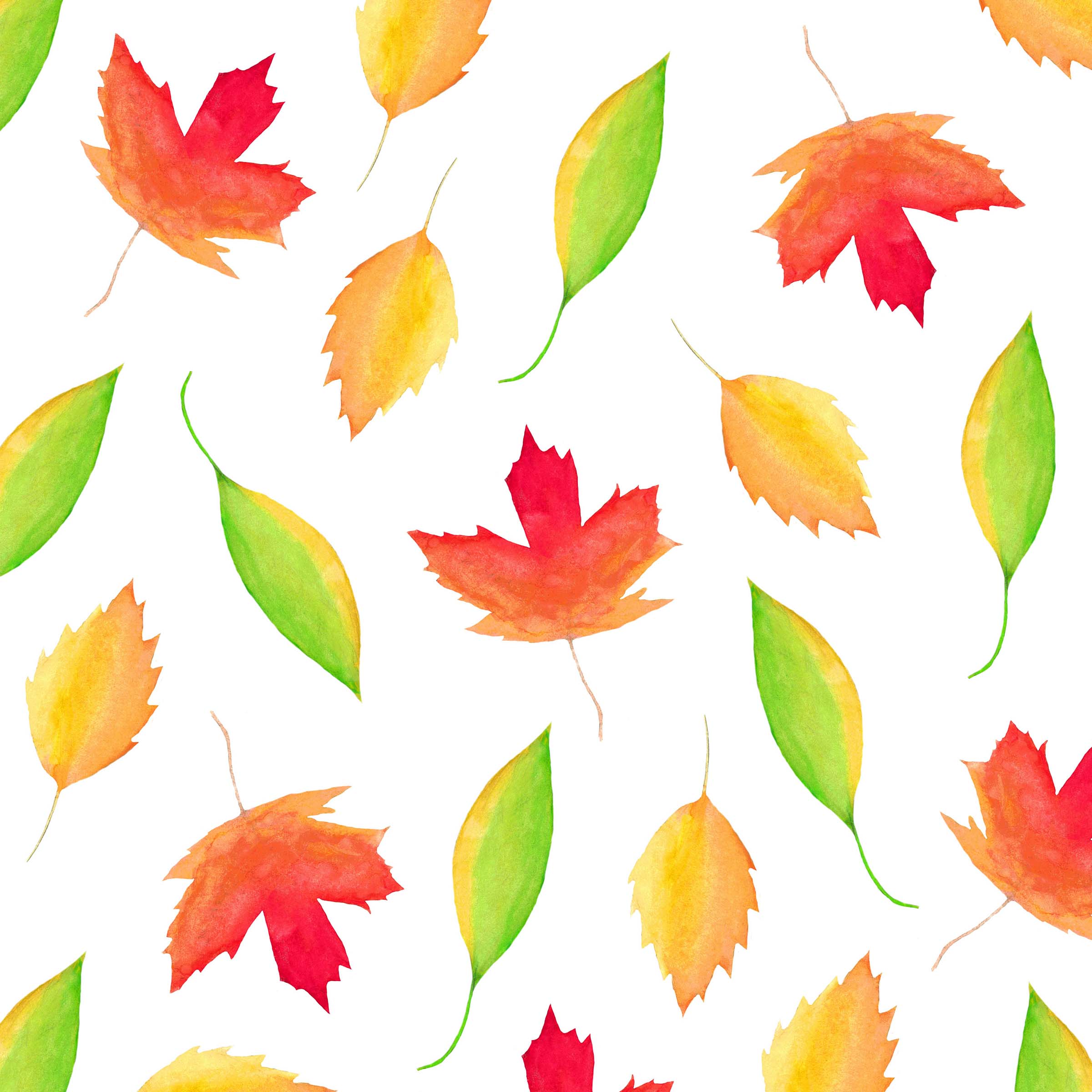 Maple Leaves Watercolor Art • Aliya Bora
