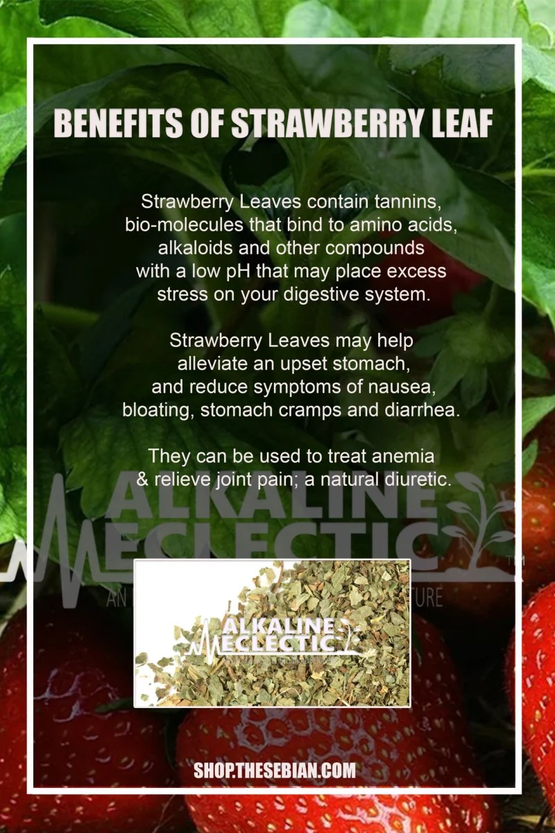 Strawberry Leaf Relieve Bloating and Nausea