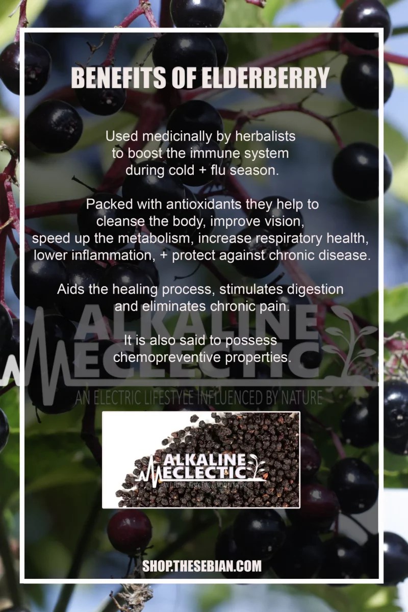 Elderberry Elderberry Tea Best Immune System Supplements