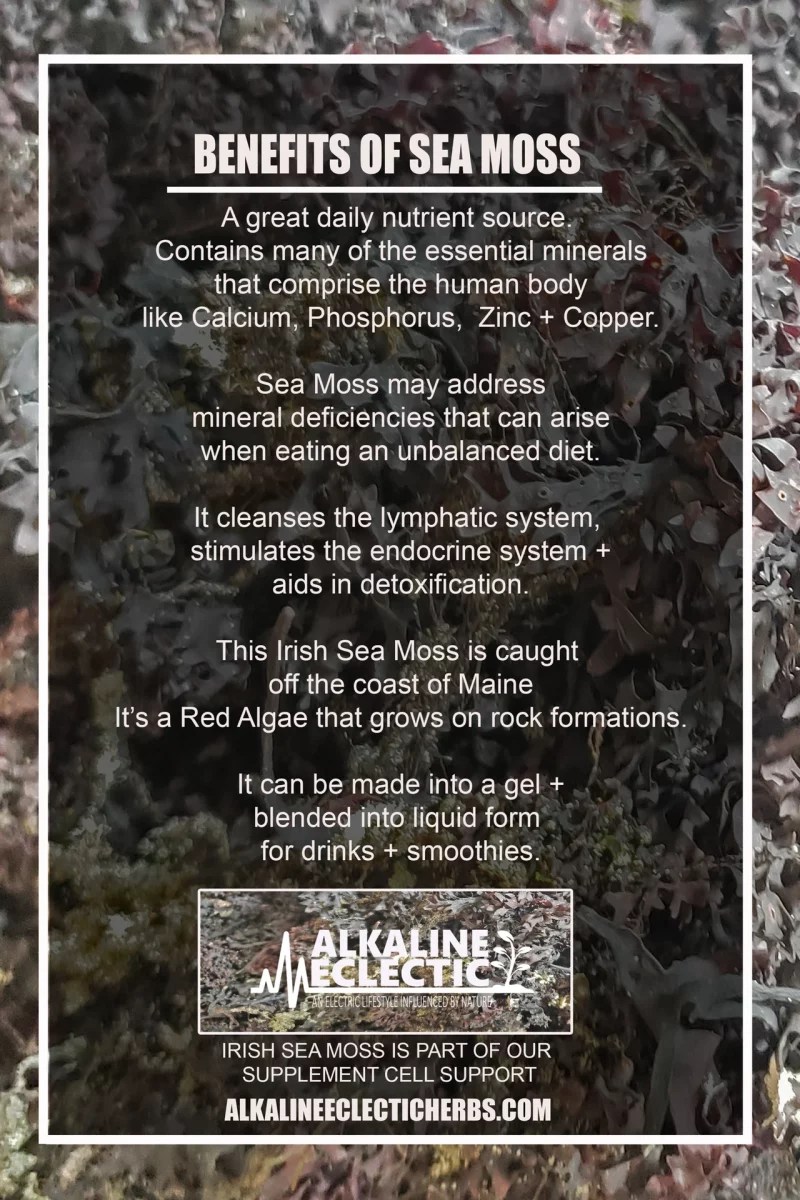 Irish Sea Moss Powder Daily Mineral Supplement