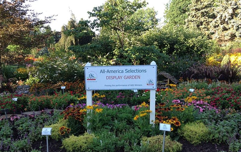 2nd place Shell Park AllAmerica Selections