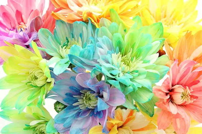 「花／華」を含む故事ことわざ・慣用句・四字熟語 オールガイド