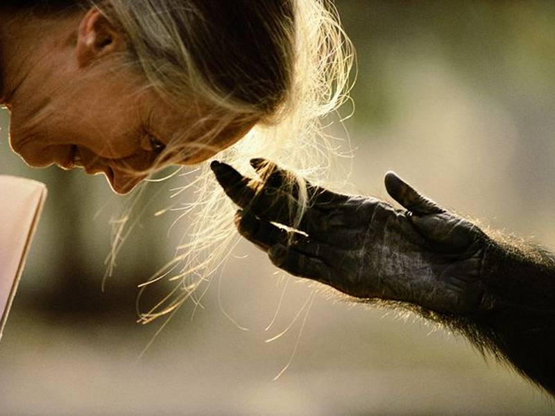 national geographic iconic photos