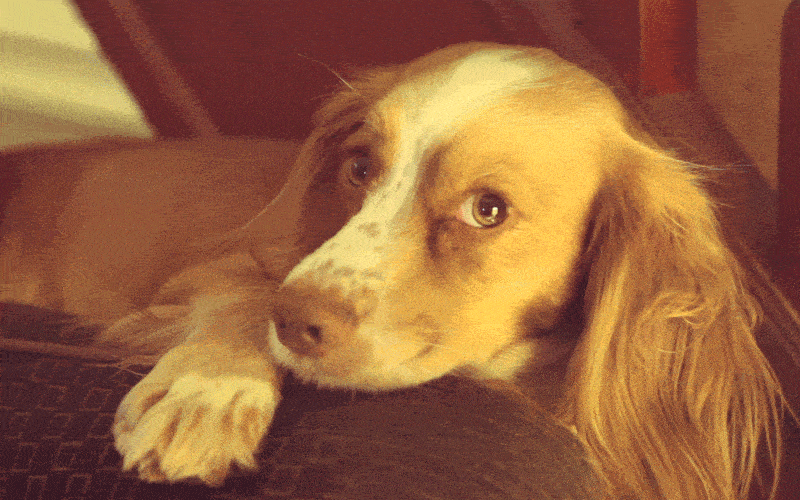 33 Magical Cinemagraphs That Will Leave You Entranced