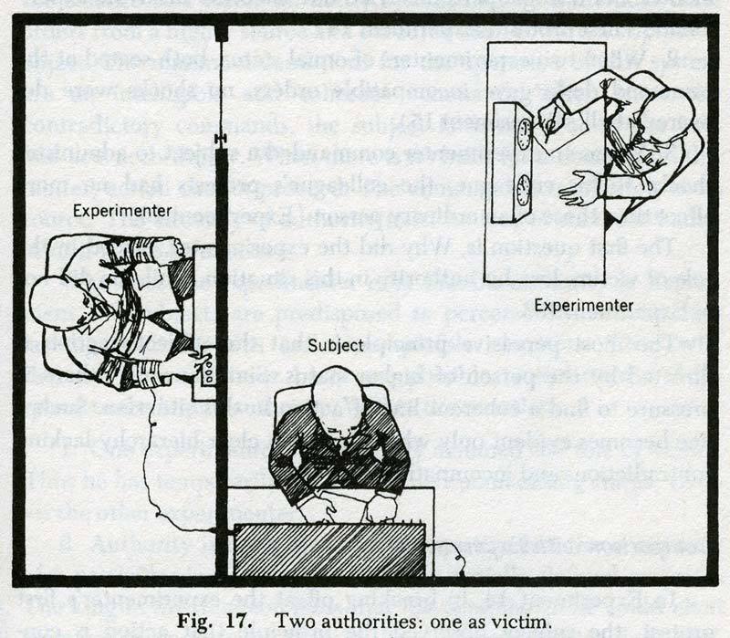The 7 Most Terrifying Experiments Ever Conducted