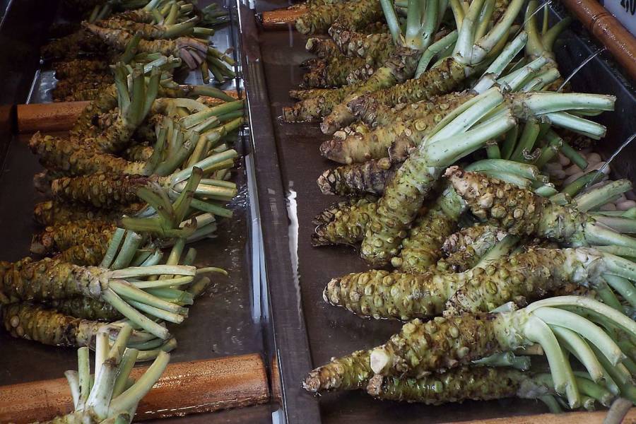 What Your Favorite Foods Look Like Before Harvest And Processing