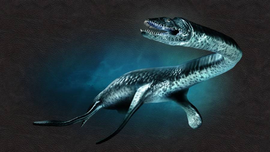 132 MillionYearOld "Loch Ness Monster" Skeleton Found