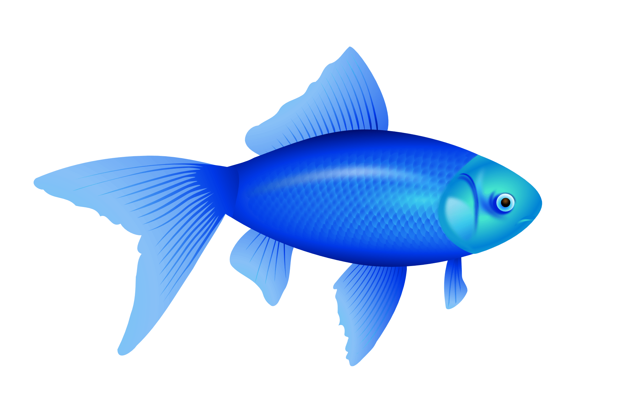 Blue Cartoon Fish 4239079, 1969x1307 All For Desktop