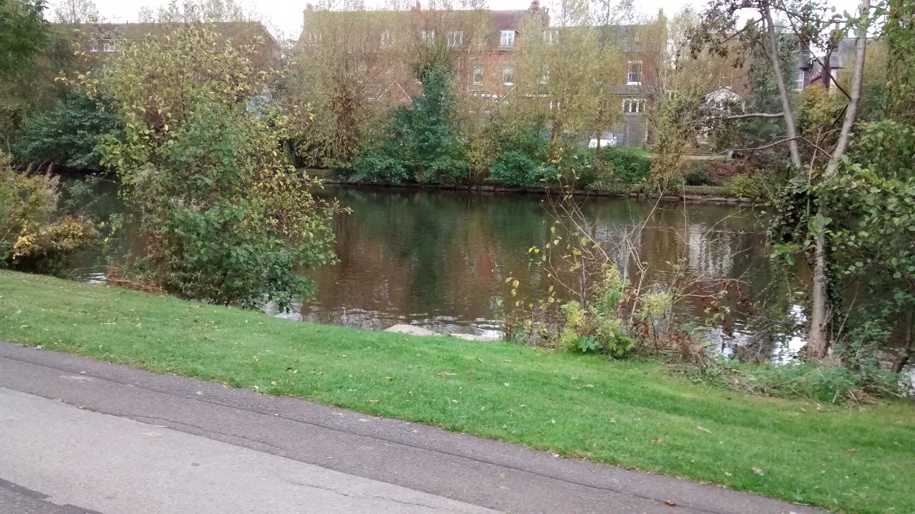 Dorking Mill Pond In Pictures