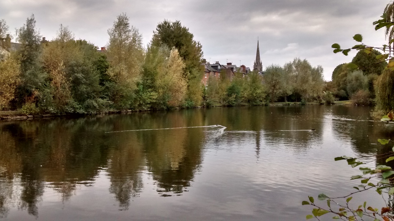 Dorking Mill Pond In Pictures