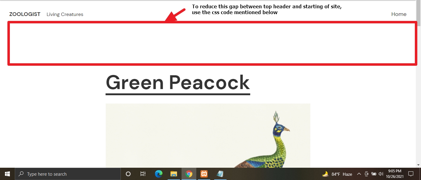 Wordpress theme Zoologist by Automattic CSS Customization of header