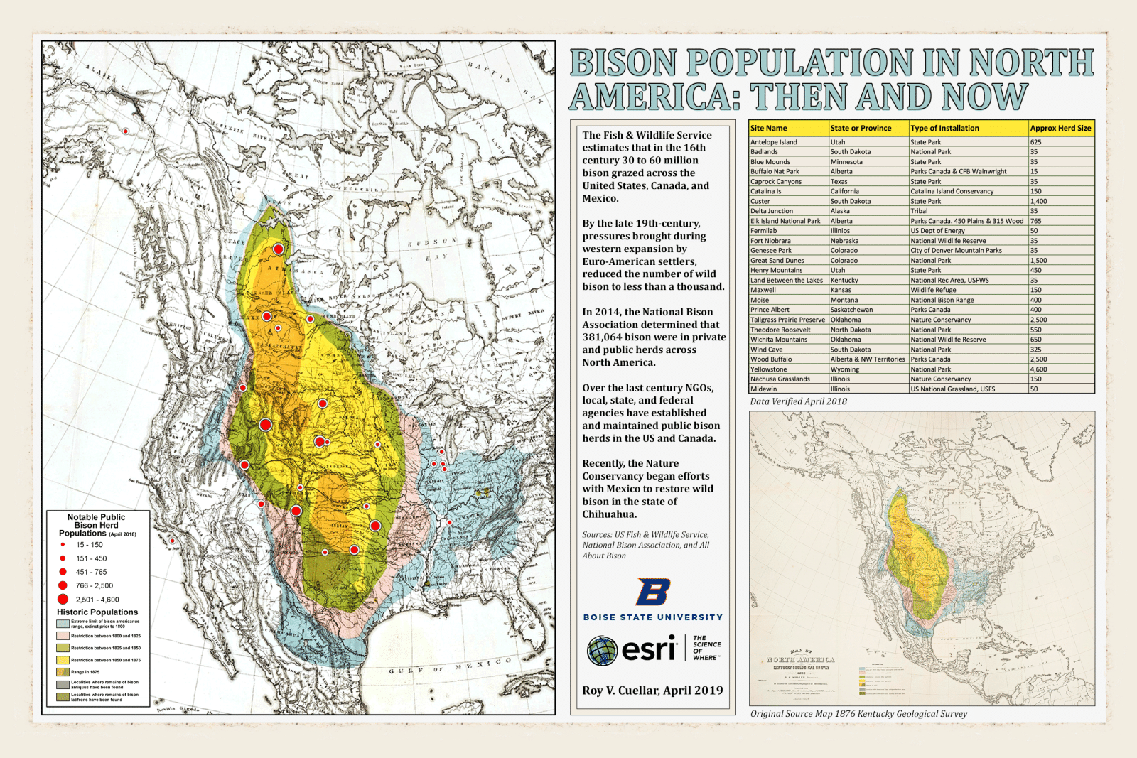 Bison Population in North America Then and Now All About Bison