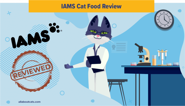Unbiased Iams Cat Food Review 2022 All About Cats
