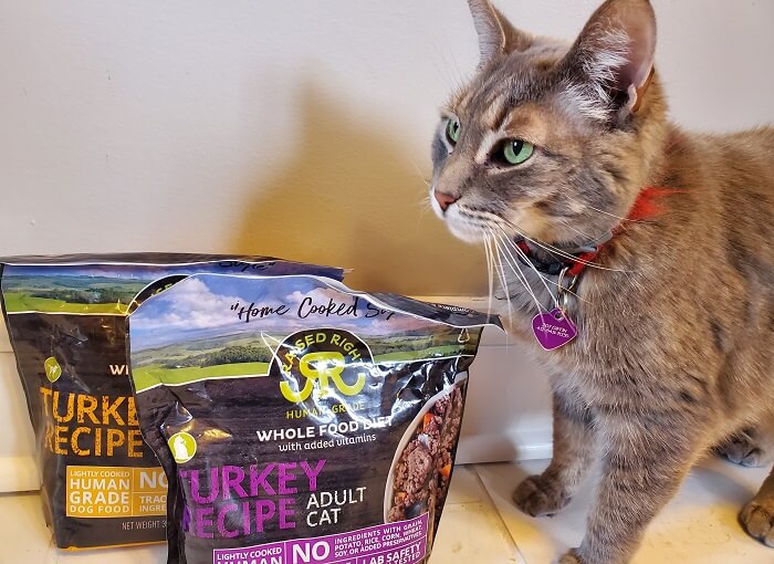 Unbiased Raised Right Cat Food Review In 2022 All About Cats