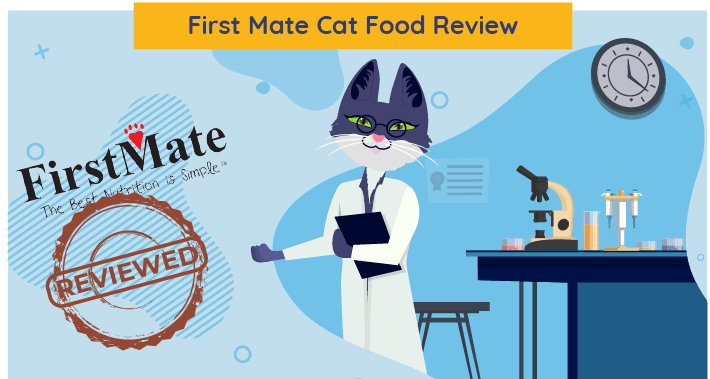 Unbiased First Mate Cat Food Review 2021 All About Cats