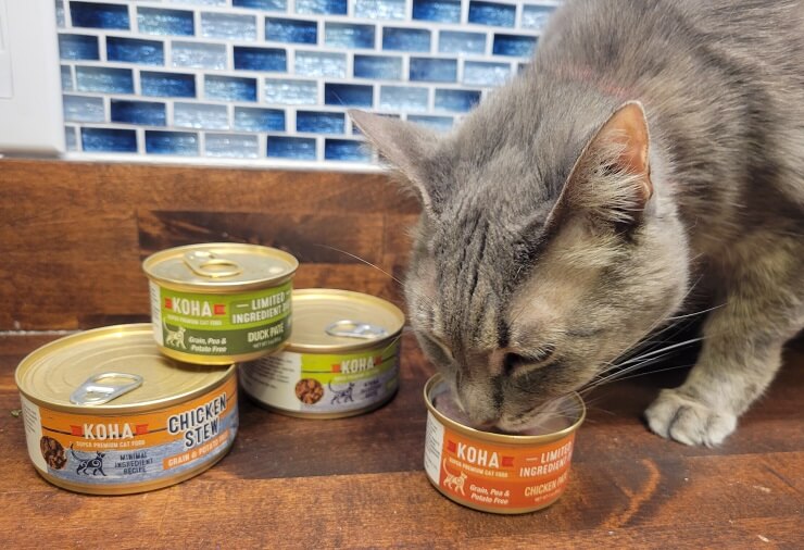 Unbiased Koha Cat Food Review In 2022 All About Cats