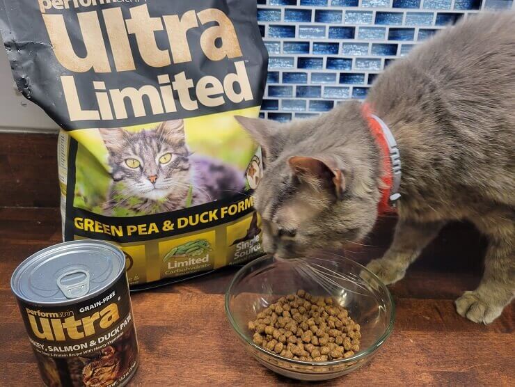 performatrin cat food petsmart Jerica Mcclanahan