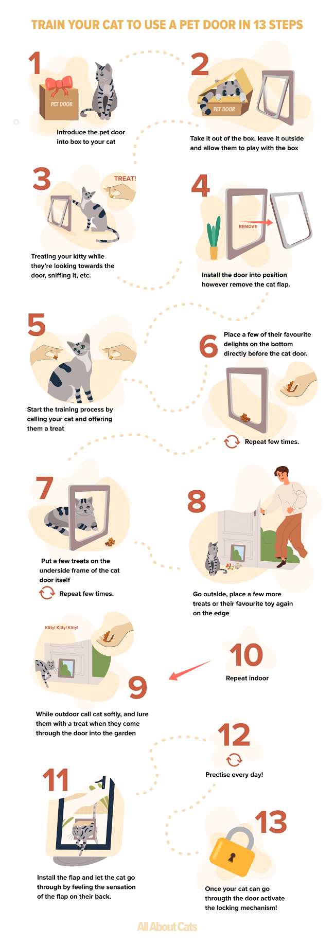 How To Train Your Cat To Use A Pet Door All About Cats