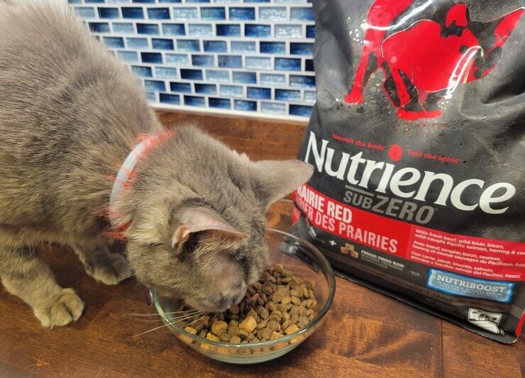 Unbiased Nutrience Cat Food Review In 2022 All About Cats