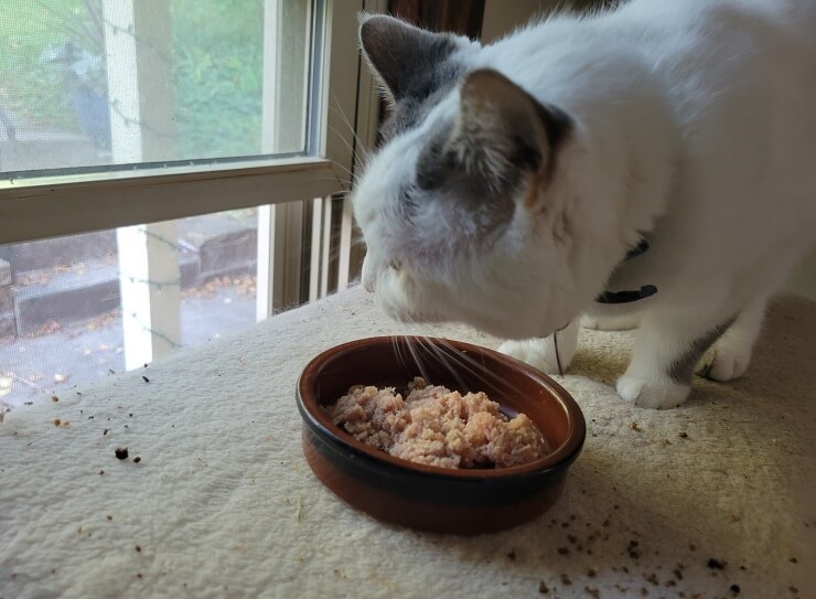 Unbiased Smallbatch Pets Unbiased Cat Food Review In 2022 All About Cats
