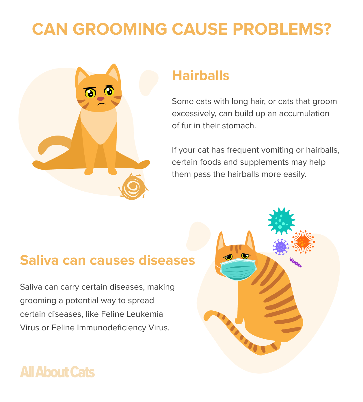 Why Do Cats Groom Each Other? Reasons Why Cats Socially Groom All