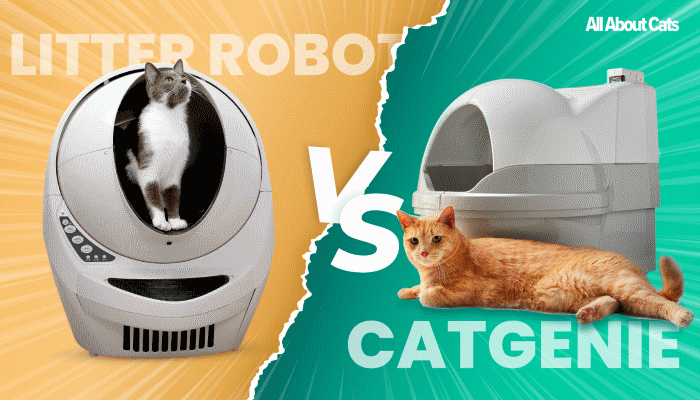 Litter Robot Vs CatGenie Purchased And Tested My Pets