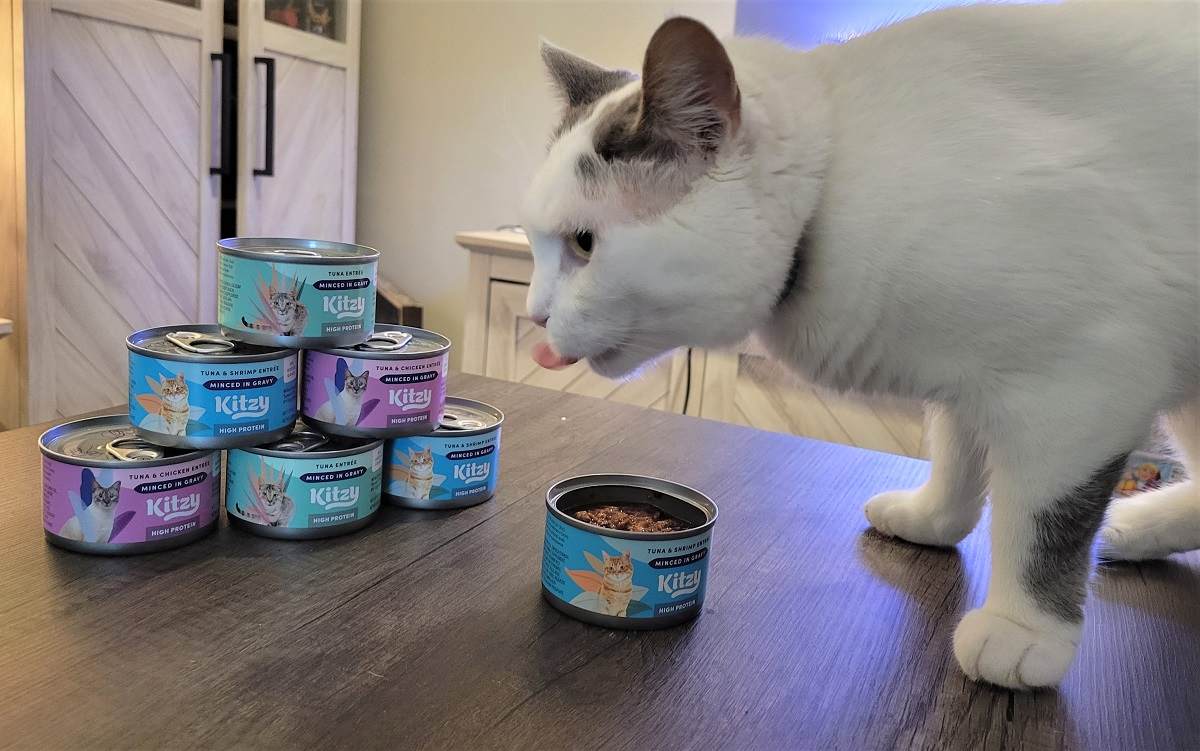 Unbiased Kitzy Cat Food Review In 2022 All About Cats